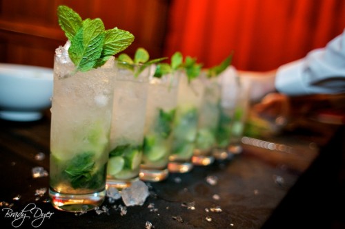 bacardi-263