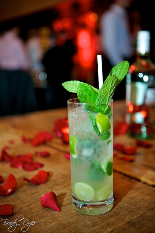 bacardi-267