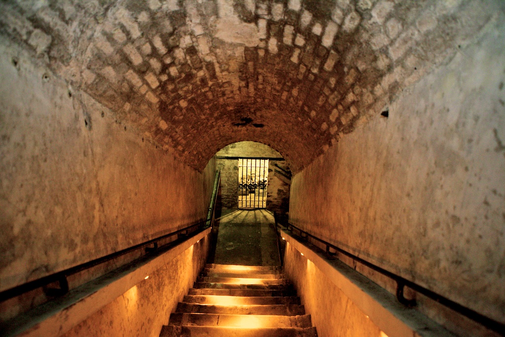 Veuve Cellar