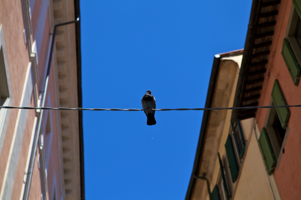 Pisa, Italy