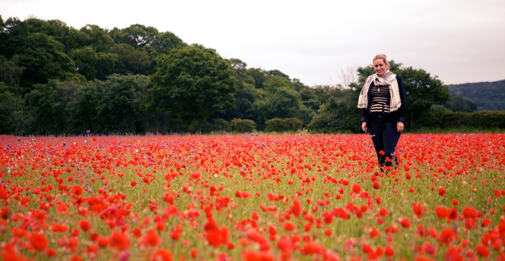 poppy-field-calverton