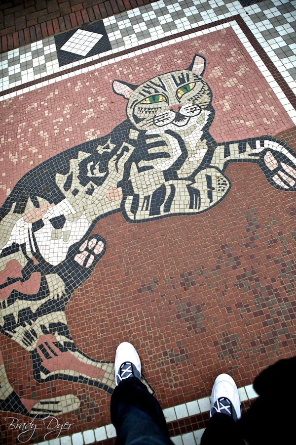 Cat Mosaic at Belfast castle