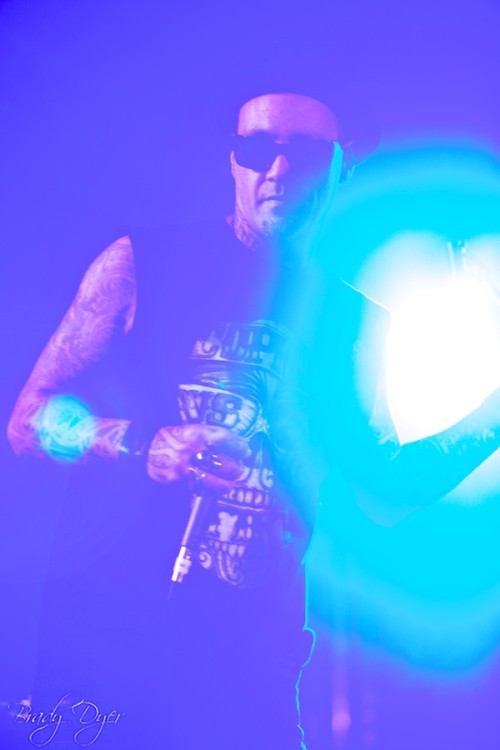 Homegrown 2014 012