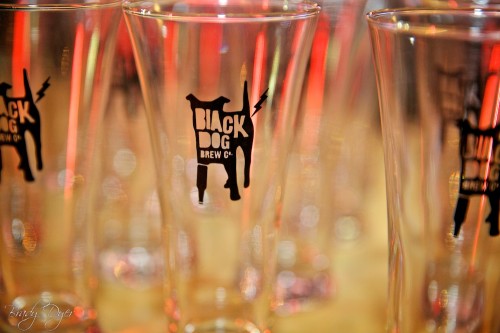 Ronald McDonald House Supper Club 2014. Photo by Brady Dyer Photography
