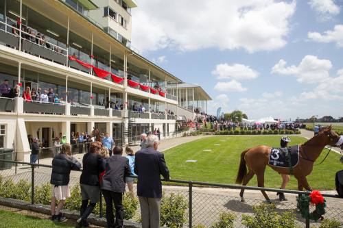 20141213 - CATR Invercargill - Brady Dyer - 189