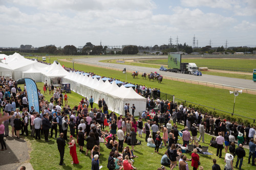 20141213 - CATR Invercargill - Brady Dyer - 529