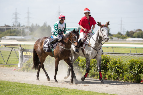 20141213 - CATR Invercargill - Brady Dyer - 776