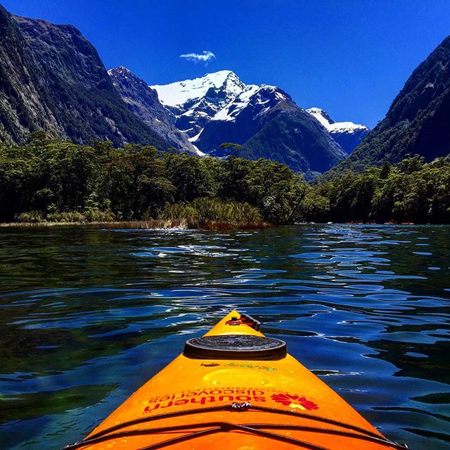 Fiordland fiordlands qkazoo88