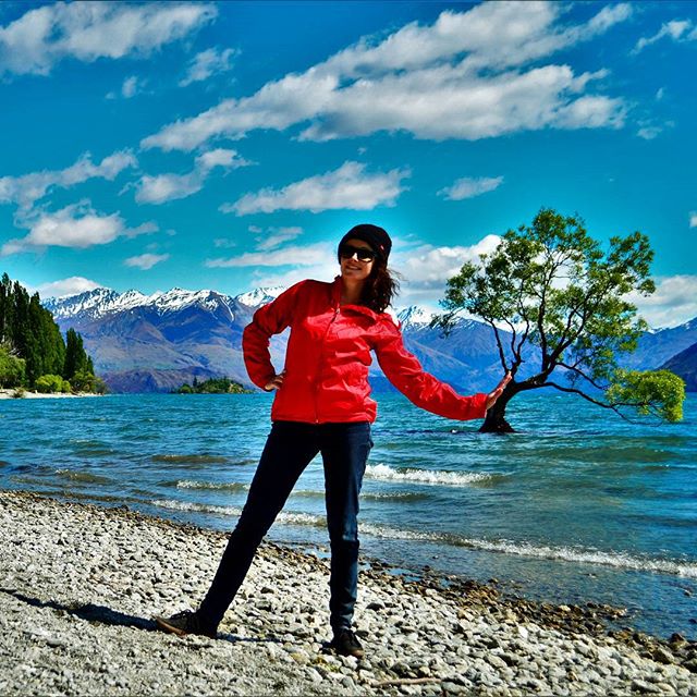 Wanaka Tree wanaka tree abrokenbackpack