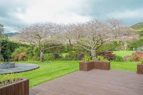 Wellington Real Estate Photos 00017
