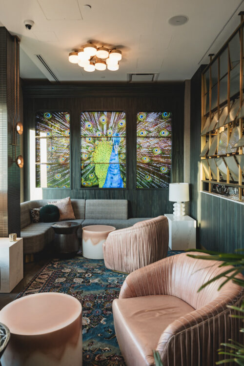 at  / Taken on Friday 13 June 2025 / Photo by Brady Dyer / BradyDyer.com